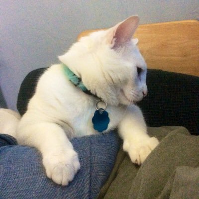 Profile Picture of Janet Gentzel Bothel (@janinjanuary) on Twitter