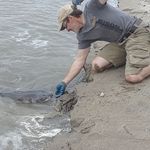 Profile Picture of David Sereda (@david.sereda.73) on Instagram