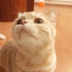 Profile Picture of Terrell Kinlaw (@terrell.kinlaw.7) on Facebook