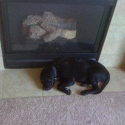 Profile Picture of Paul McHarg (@PaullyMike) on Twitter