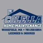 Profile Picture of Stephen Colella (@colella_home) on Instagram