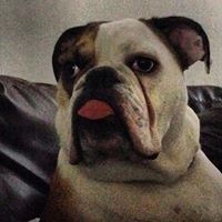 Profile Picture of Benjamin McDaniel (@rgrmac1) on Pinterest