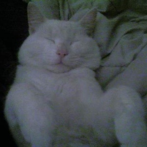 Profile Picture of James Polanco (@388880340) on Myspace