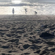 Profile Picture of Ellis Jackson (@ellisjackson4061) on Youtube