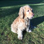 Profile Picture of Roberta Birks (@robertabirks) on Instagram