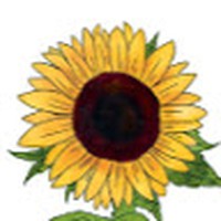 Profile Picture of Hailey Burt (@hailey-burt-4) on Quora