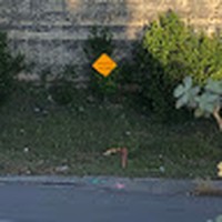 Profile Picture of Julianne Carroll (@julianne-carroll-12) on Quora