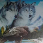 Profile Picture of Christopher Halstead (@christopher.halstead.52) on Facebook