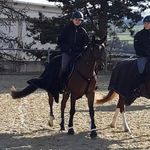 Profile Picture of laura lötzerich (@lotzerichl) on Instagram