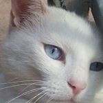 Christiane Wrobel - Instagram Profile Picture of Christiane Wrobel (@wrobelchristiane) on Instagram