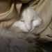 Profile Picture of Stefanie (@Keysez) on Pinterest
