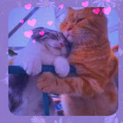 Profile Picture of Luna Alvarez (@lunaalvarez6500) on Youtube