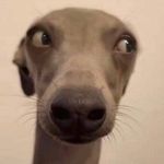 Profile Picture of Nguyễn Thị Lan Trinh (@nguyenthi_lan_trinh) on Instagram