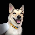 Profile Picture of Dzurik (@dzurik_kb) on Instagram