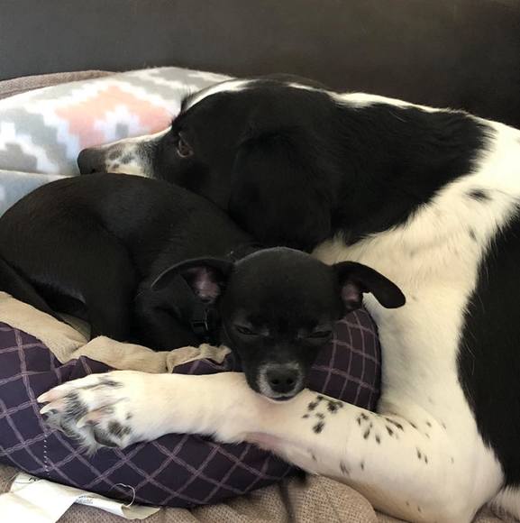 Profile Picture of Don Pudlowski (@ddpudlowski) on Poshmark