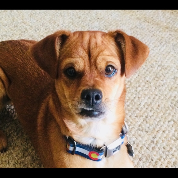 Profile Picture of Matteson Manuello (@ilovefashion994) on Poshmark