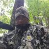 Profile Picture of steveherr19 (@steveherr19) on Tiktok