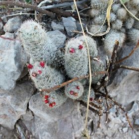 Tiffany Murray - Pinterest Profile Picture of Tiffany Murray (@craftytiffy3) on Pinterest