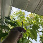 Profile Picture of Hentar Manuel (@Hentar-Manuel) on Facebook