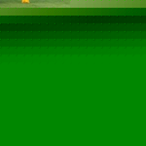 Profile Picture of James Studtmann (@peaches_and_cream_2007) on Myspace