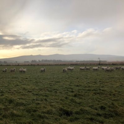 Profile Picture of Adam (@alcharles84) on Twitter