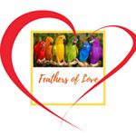 Profile Picture of linda helin tangarone (@feathersoflove2) on Instagram