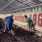 Archiv Johannes Ackner - Instagram Profile Picture of Archiv Johannes Ackner (@momentmaschine) on Instagram