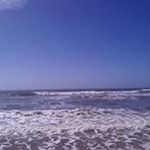 Profile Picture of Erni Martin (@martinerni) on Instagram