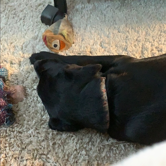 Stacia Boyum - Poshmark Profile Picture of Stacia Boyum (@staciaboyum) on Poshmark