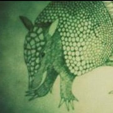 Profile Picture of Ferdinando Masi (@countferdi) on Twitter