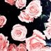 Profile Picture of Peyton Crowe (@peytonjmaes207) on Pinterest