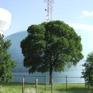 Profile Picture of David Greenawalt (@107280973) on Myspace