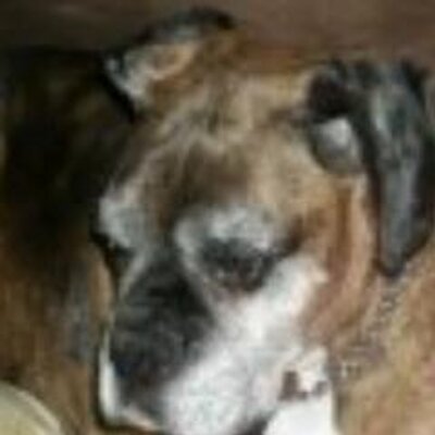 Profile Picture of Erica Hager (@HagerErica) on Twitter