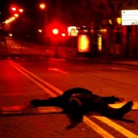 Profile Picture of Watanabe Shin (@watanabe-shin) on Quora