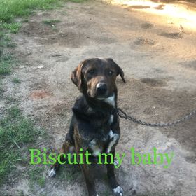 Arianna Jones - Pinterest Profile Picture of Arianna Jones (@25jonesa2) on Pinterest