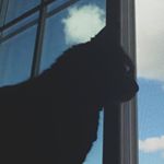 Profile Picture of Ja Andrew Moudry (@jamoudry) on Instagram