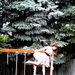 Profile Picture of nicole antonacci (@rosinaa14) on Pinterest