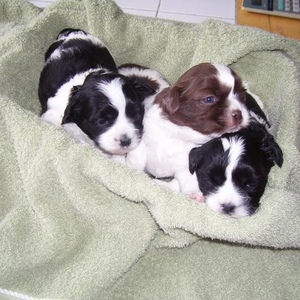 Profile Picture of Cassidy Fisk (@125556444) on Myspace