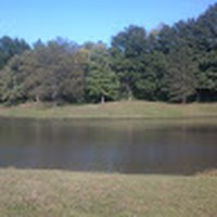 Profile Picture of Xavier Phillips (@xavier-phillips-41) on Quora