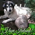 Profile Picture of Karen-Scott Yahr (@karenscottyahr) on Instagram