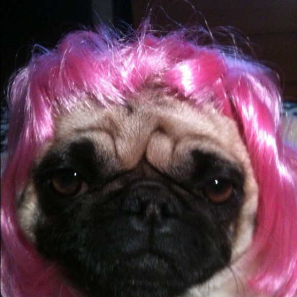 Profile Picture of Andrea Golphenee (@golph1234) on Poshmark