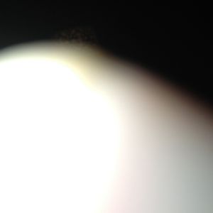 Profile Picture of Mark Penn (@howis) on Myspace