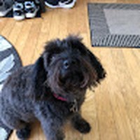 Profile Picture of James Mroz (@james-mroz-3) on Quora