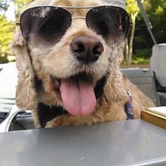 Profile Picture of Brian Borkosky (@bork81) on Tiktok