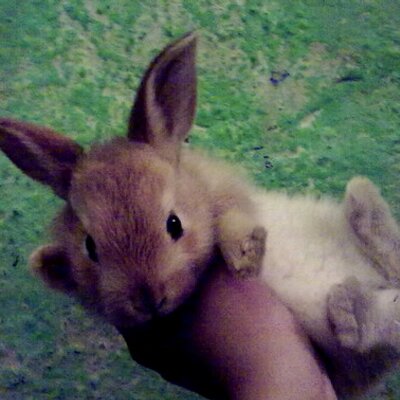 Itzel Guerra - Twitter Profile Picture of Itzel Guerra (@itzi_1997) on Twitter