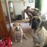 Profile Picture of lexie (@lexie_wiley) on Instagram