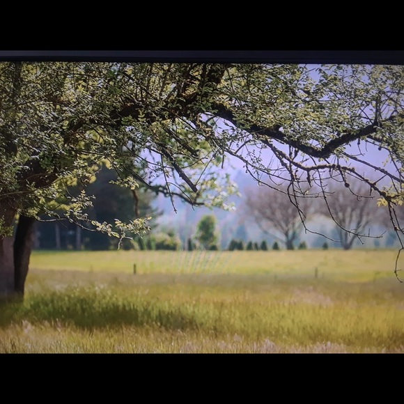 Paola Valderrama - Poshmark Profile Picture of Paola Valderrama (@mussa0) on Poshmark