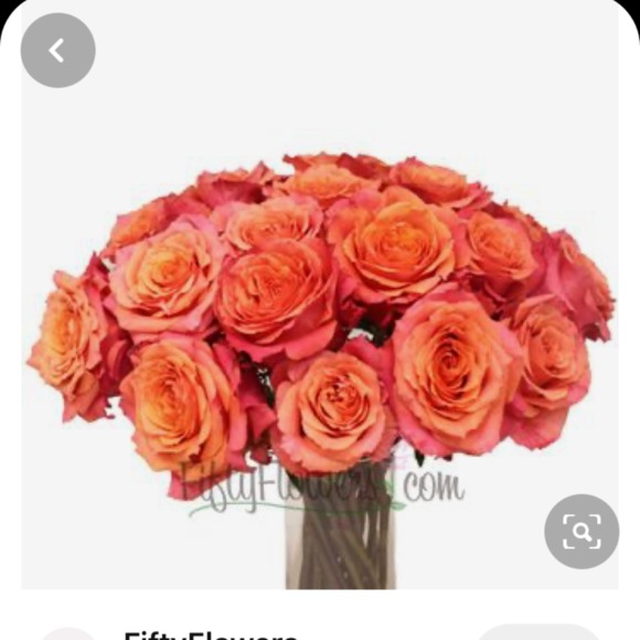 Profile Picture of Caitlin Stuetz (@cs0957) on Poshmark