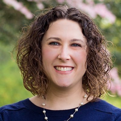 Profile Picture of Lisa B. Rosenberg, M.Ed., MSW, LSW, CSSW (@safeandincluded) on Twitter