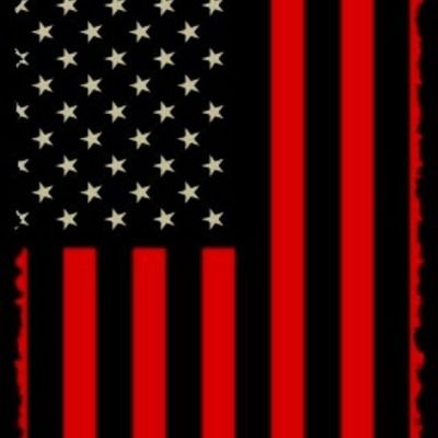 Profile Picture of LEGAL VOTES ONLY (@BlanfordLaw) on Twitter